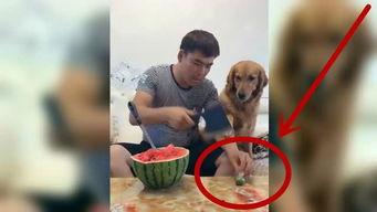 妞妞在吃瓜,揭秘娱乐圈幕后故事