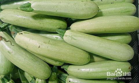 吃瓜西葫芦,揭秘瓜农的甜蜜生活与丰收喜悦 第2张 吃瓜西葫芦,揭秘瓜农的甜蜜生活与丰收喜悦 第2张