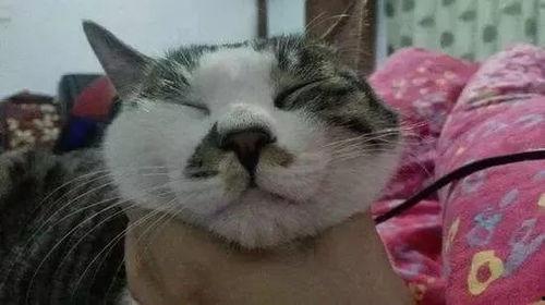 吃瓜救我,共渡难关