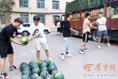 贵州师范学院 吃瓜,吃瓜群众眼中的校园风云录 第3张 贵州师范学院 吃瓜,吃瓜群众眼中的校园风云录 第3张