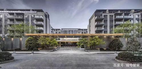 吃瓜杭州大学,揭秘杭州大学生的“吃瓜”生活