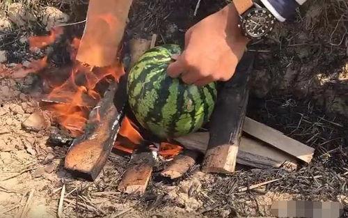 瓜哥吃瓜奇葩物品图片高清,揭秘那些令人瞠目结舌的吃瓜神器 第2张 瓜哥吃瓜奇葩物品图片高清,揭秘那些令人瞠目结舌的吃瓜神器 第2张