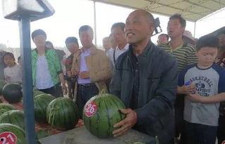 十二太保吃瓜群众,揭秘吃瓜群众的狂欢盛宴