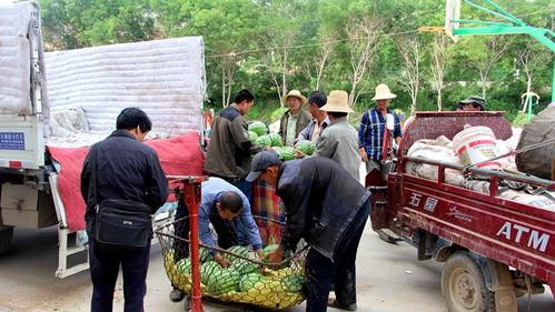 柘城吃瓜群众,揭秘当地独特饮食文化