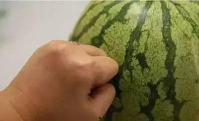 梦见吃西瓜分瓜,揭秘吃西瓜分瓜的寓意与象征  第3张