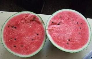 吃二甲酸瓜头晕恶心,头晕恶心现象解析