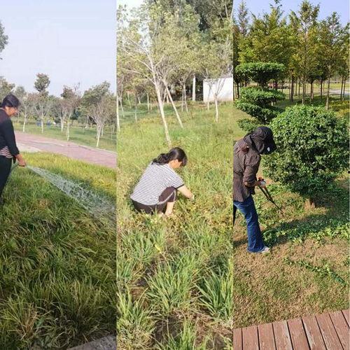 赵河公园吃瓜,畅享清凉时光