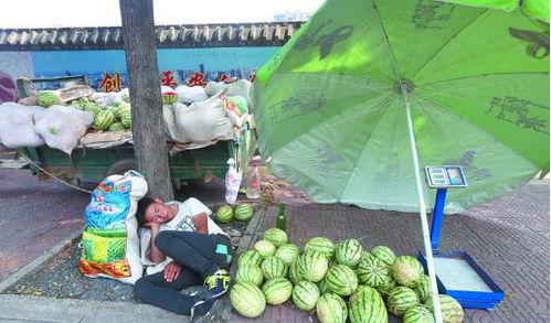 小康河吃瓜,夏日休闲好去处