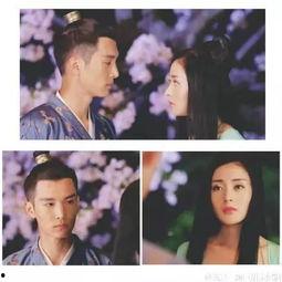 太子妃在线吃瓜,揭秘宫廷秘闻