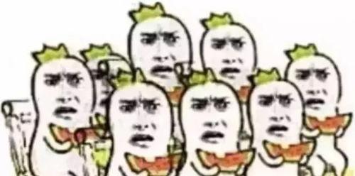 柯基吃瓜群众助威,吃瓜群众狂欢盛宴