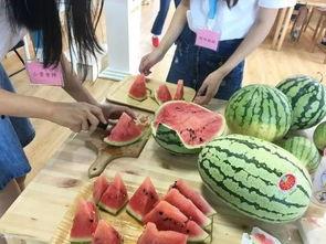 课堂吃瓜,揭秘校园里的趣味瞬间