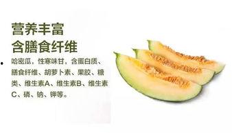 哈密瓜节哪里有瓜吃,瓜香四溢，尽享甜蜜盛宴